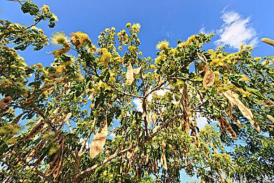 《巫师3》次世代版本新消息即将到来 计划第四季度发布