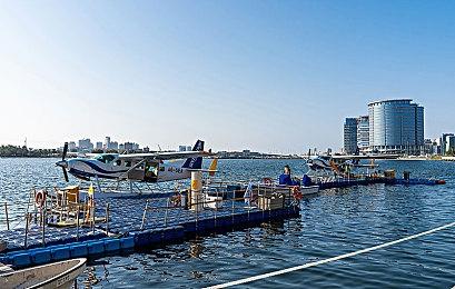 过河就拆桥？多数玩家称Reddit知名盗版版主被任天堂制裁是活该